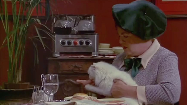 Rhinoceros - woman Anne Ramsey feeding longhaired white cat at table