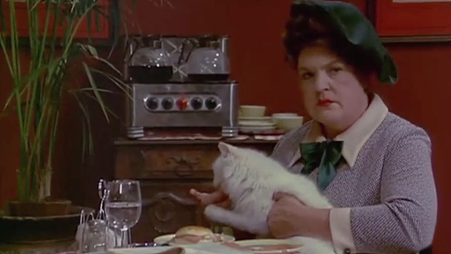Rhinoceros - woman Anne Ramsey feeding longhaired white cat at table