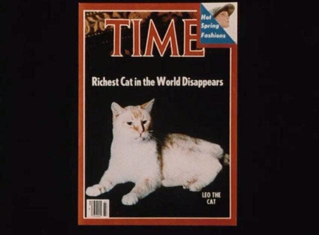The Richest Cat in the World - Leo Palmer flame point Siamese cat on cover of Time Magazine