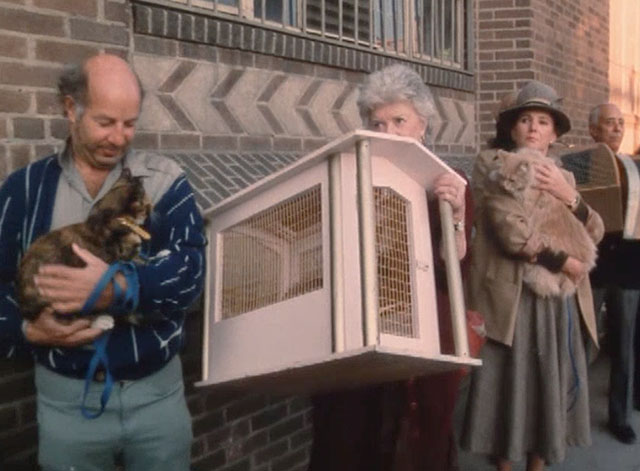 The Richest Cat in the World - people holding cats waiting in line