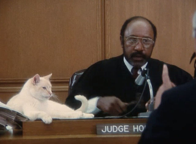 The Richest Cat in the World - Leo Palmer flame point Siamese cat on bench with Judge Hooten J.A. Preston