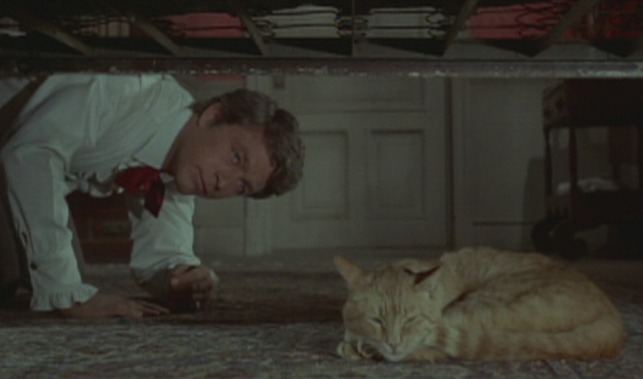 Ride Beyond Vengeance Bill Bixby and cat