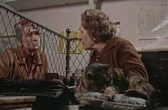 Ring of Bright Water