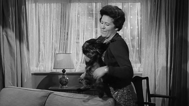Ring of Spies - Helen Nancy Nevinson setting longhair tabby cat on couch