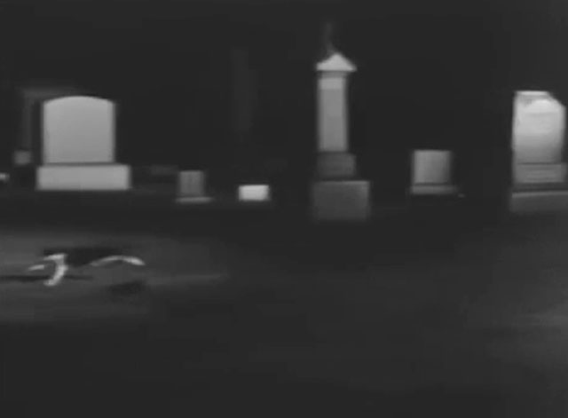 Ring of Terror - tuxedo cat Puma running through graveyard