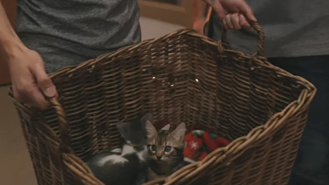 Road to Christmas - kittens in a basket