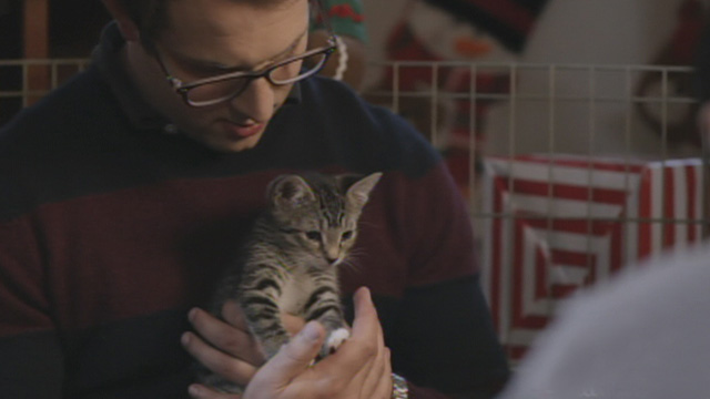 Road to Christmas - Danny Chad Michael Murray holding tabby kitten