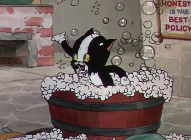 The Robber Kitten - tuxedo kitten Ambrose Butch in wash tub