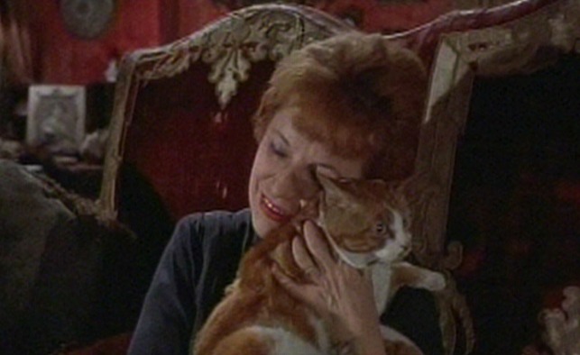 The Roman Spring of Mrs. Stone cat