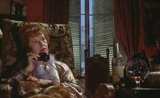 The Roman Spring of Mrs. Stone cats