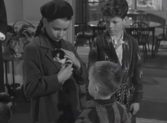 Room for One More kitten