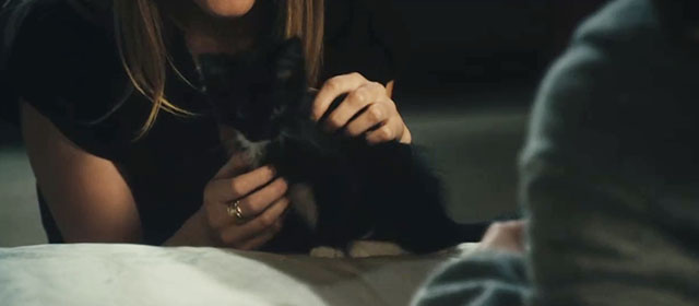 The Roommate - tuxedo kitten Cuddles on bed