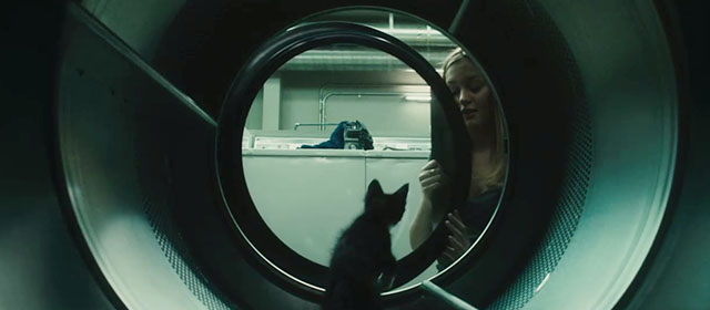 The Roommate - Rebecca Leighton Meester placing tuxedo kitten Cuddles in dryer