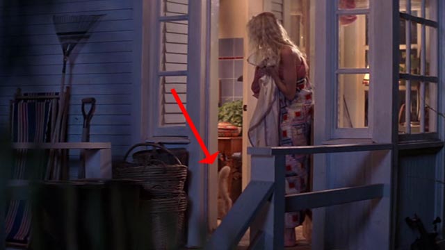 Roxanne - orange cat Grover passing Roxanne Daryl Hannah to enter house