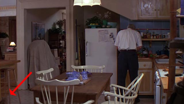 Roxanne - orange cat Grover passing through kitchen