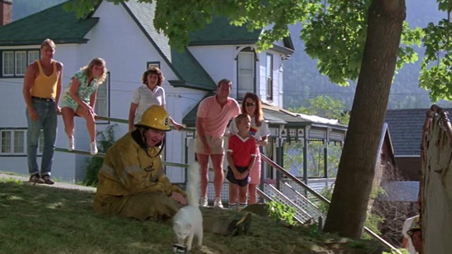 Roxanne - white cat Snowball approaching can of food on the ground