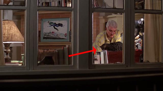 Roxanne - tabby cat sitting in front of C.D. Steve Martin in window