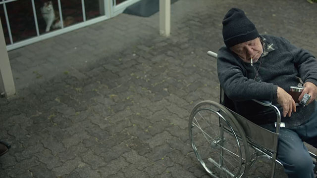 The Rule of Jenny Pen - man in wheelchair with longhair calico cat Pluto Marbles looking out window