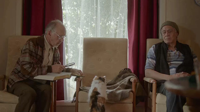 The Rule of Jenny Pen - longhair calico cat Pluto Marbles jumping into chair with two nursing home residents