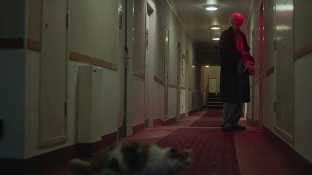 The Rule of Jenny Pen - longhair calico cat Pluto Marbles crossing hallway and Crealy John Lithgow