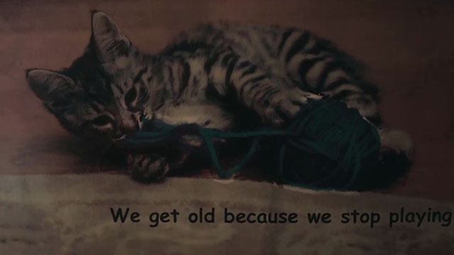 The Rule of Jenny Pen - tabby kitten on inspirational poster