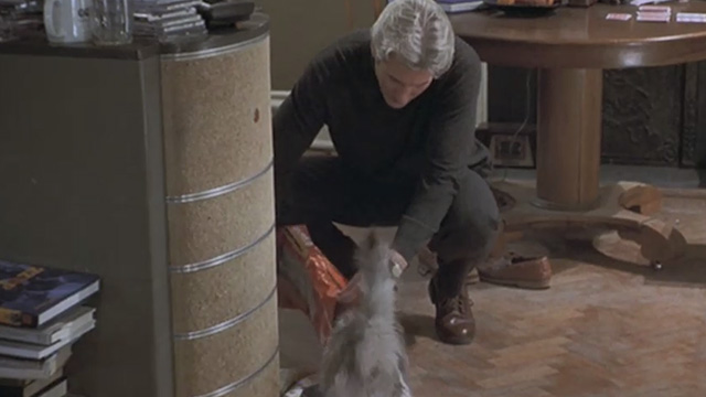 Runaway Bride - Ike Richard Gere feeding long-haired cat Italics