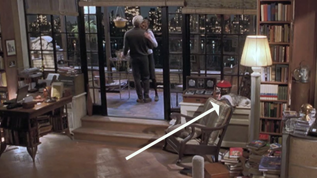 Runaway Bride - long-haired cat Italics lying by window as Ike Richard Gere and Maggie Julia Roberts dance