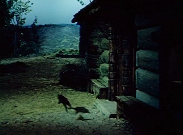 Ruslan i Lyudmilla - tabby cat running outside cabin