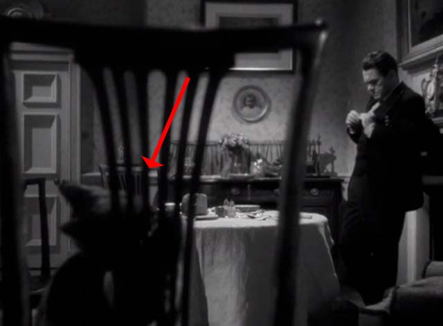 Sabotage - black cat preening on chair in foreground