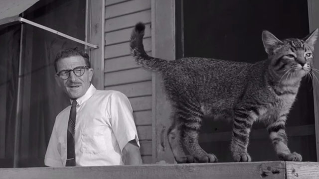 The Sadist - Carl Don Russell looking at tabby kitten standing on railing