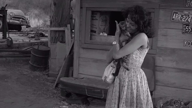 The Sadist - Judy Marilyn Manning hugging tabby kitten
