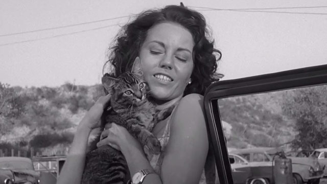 The Sadist - Judy Marilyn Manning hugging tabby kitten
