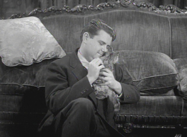 Satan Met a Lady - Kenneth Maynard Holmes petting tabby kitten