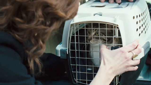 The Savages - tabby cat Genghis in carrier with Wendy Laura Linney