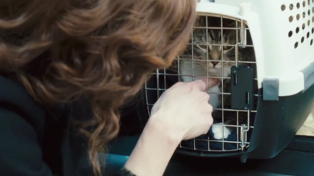 The Savages - tabby cat Genghis in carrier with Wendy Laura Linney