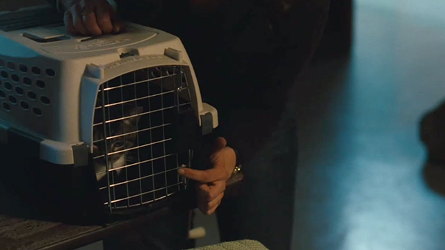 The Savages - tabby cat Genghis in carrier in nursing home
