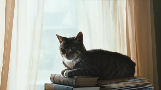 The Savages - tabby cat Genghis sitting on books in front of window