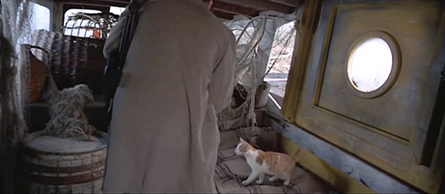Savior - orange and white tabby cat inside boat as Guy Dennis Quaid enters