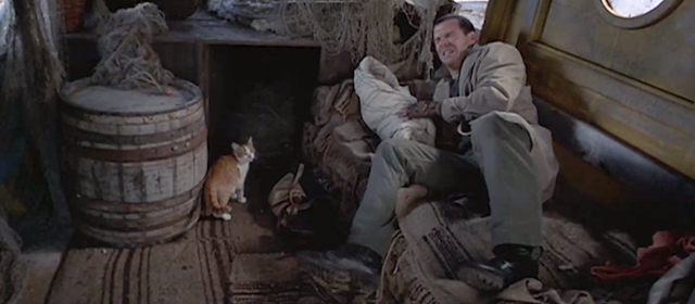 Savior - orange and white tabby cat inside boat with Guy Dennis Quaid and baby