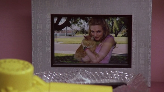 Say It Isn't So - photo of Jo Heather Graham holding long-haired tabby cat Ringo