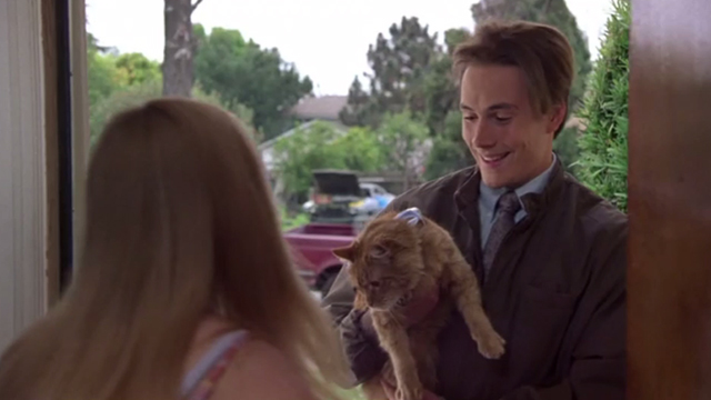 Say It Isn't So - Gilly Chris Klein reuniting Jo Heather Graham with long-haired tabby cat Ringo