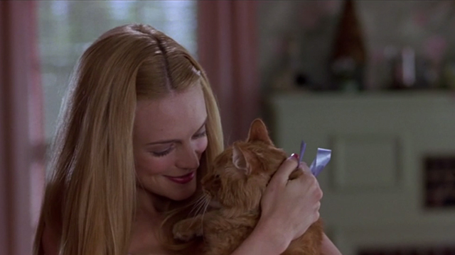 Say It Isn't So - Jo Heather Graham holding long-haired tabby cat Ringo