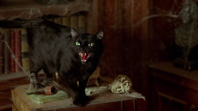 Scary Movie 2 - black cat Mr. Kittles hisses