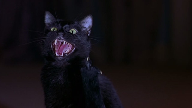 Scary Movie 2 - black cat Mr. Kittles flipping the bird