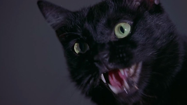 Scary Movie 2 - black cat Mr. Kittles attacks