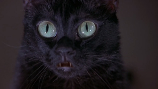 Scary Movie 2 - black cat Mr. Kittles eyes bugging in shock