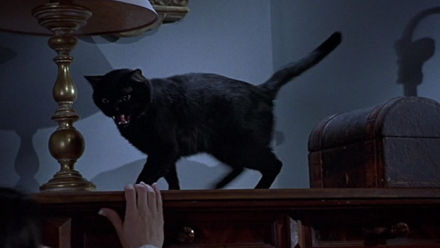 Scary Movie 2 - black cat Mr. Kittles on dresser hissing