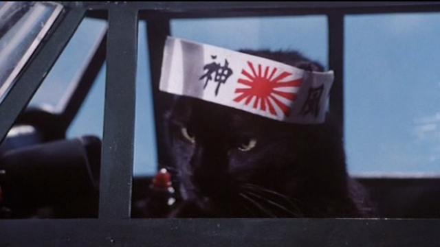 Scary Movie 2 - black cat Mr. Kittles as kamikaze pilot