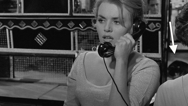 Schwarzer Kies - tuxedo cat behind Elli Anita Höfer