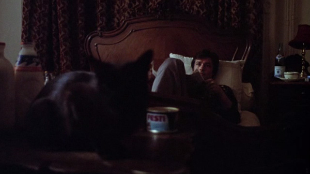Scorpio - black cat in foreground with Laurier Alain Delon